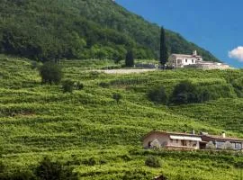 Agriturismo B&B Casa Bortolin