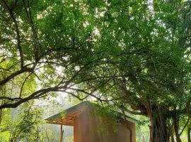 克雷哈特村住宿加早餐旅馆