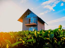 Cloud Canopy - Tea Garden Family Pool Cottage in Vagamon，位于瓦加蒙的酒店