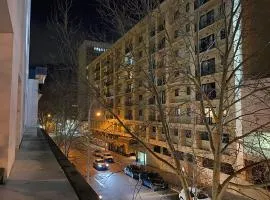 A city oasis - full apartment with balcony