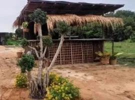 ทุ่งนากางเต้นท์ Countryside