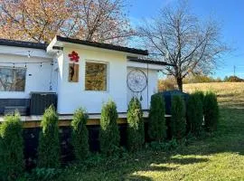 Cozy Dreamcatcher - Private, Jacuzzi and Nature Apuseni Mountains