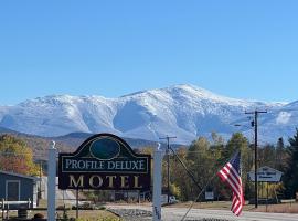 Profile Deluxe Motel