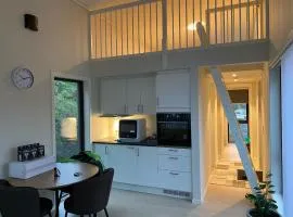 Moderne minihus