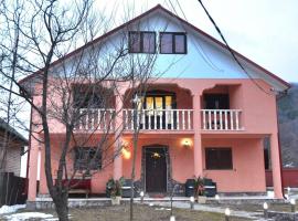 Pensiunea Lui Nea Nicu Lepsa，位于莱普沙的酒店