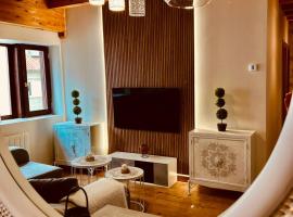 El Capricho de Claudia_ Apartamentos Burgos Catedral，位于布尔戈斯的宠物友好酒店