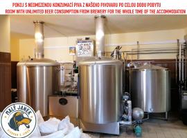 Penzion Eška s Pivovarem MJ，位于Jince的酒店