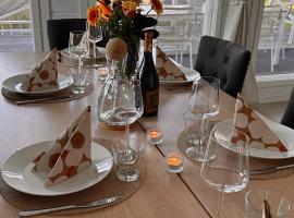 Villa Sofia In Lapland，位于托尔尼奥的酒店