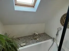 Chambre et salle de bain privée