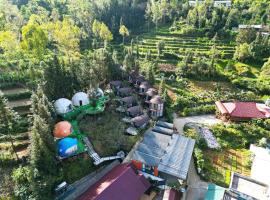 Plum Homestay，位于同文的酒店