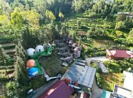 Plum Homestay