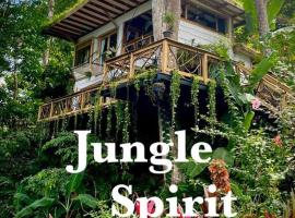 Jungle Spirit Treehouse，位于卡维塔的别墅