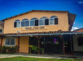 Black Lion Inn，位于圣地亚哥的民宿