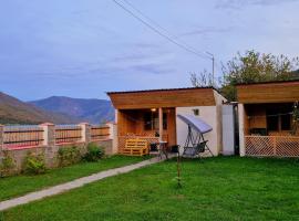 Cottages in Ananuri，位于Ananuri的度假园