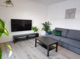 SALAN Apartman NATAL