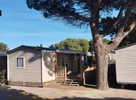 Mobil-home