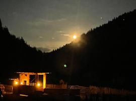 Barlogul Ursului Bilbor，位于Bilbor的酒店