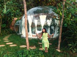 Bubble Siargao