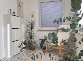 Casa Cara
