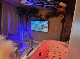 L'Oasis appart 60m2 SPA privatif 20 min Lille ou Arras