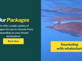 Whale shark Sumbawa Tour
