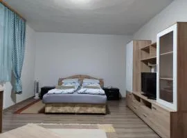 Apartment Hatinac