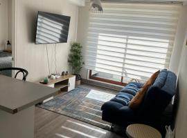 Depto Nuevo Chillan Centro 2D-2B-E privado，位于奇廉的酒店