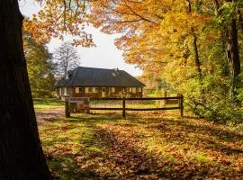 Tussen Heide en Bos vlakbij Sentower Park