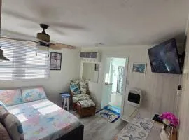 All Season Holiday Seashore Getaway!