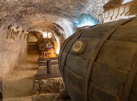 Hotel Rural La Bodega del Baldomero，位于圣埃斯特万德戈尔马斯的乡间豪华旅馆