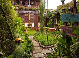 Hotel Casa Chapultepec，位于科万的酒店