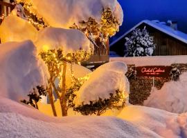 Chalet Catina - Kärnten Card im Sommer inklusive -，位于巴德小基希海姆的酒店