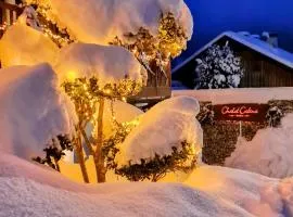 Chalet Catina - Kärnten Card im Sommer inklusive -