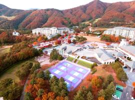 Oak Valley Resort，位于原州市的度假村