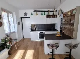 Evergreen House - Japartments