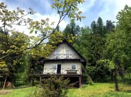Klimatyczny Dom z widokiem na Babią Górę