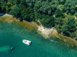 Magical Treehouse Cabin by the sea with amazing views