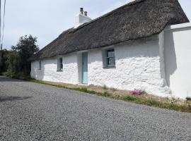 Goggin Cottage，位于New Kildimo的酒店