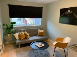 Hybelleilighet med eget bad