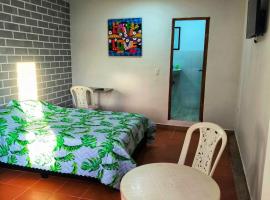 Apartaestudios la terraza 1，位于辛塞莱霍的酒店
