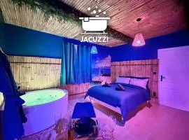 Narbnb - BORA-BORA SUITE - Jacuzzi - Centre - Clim