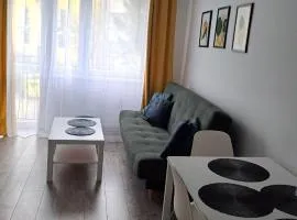 Apartament Miejski