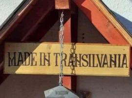 MADE in Transilvania，位于锡吉什瓦拉的公寓式酒店