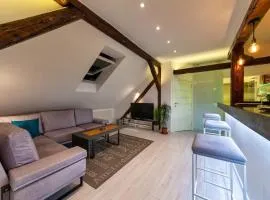 City Centre Rooftop Knez Mihailova Apartment