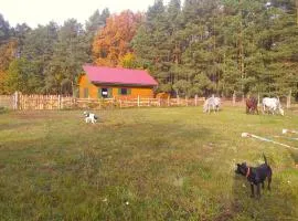 Agroturystyka Polana Harmonii