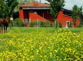 Agriturismo Adriano Pedretti，位于Badia Polesine的农家乐