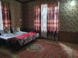 Hotel Wazir Palace，位于斯利那加谢赫·UL·阿拉姆国际机场 - SXR附近的酒店
