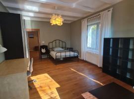 Guest Rooms in Private Home by Airport, Shared Bath, Non-Smoking, Contactless Check-in, No Staff, Quiet Stay, Short Stay，位于Kněžívka的酒店