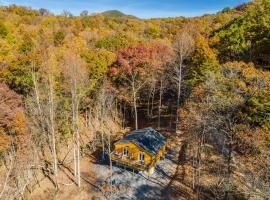 The Wilderness Cabin - Shenandoah Getaway - HotTub, Arcade, RiverAccess，位于仙纳度的酒店
