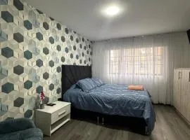 My Luxury House Movistar Arena 202